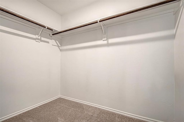 3717 Palmetto Bluff Dr, Mustang, OK 73064 - walk in closet with carpet