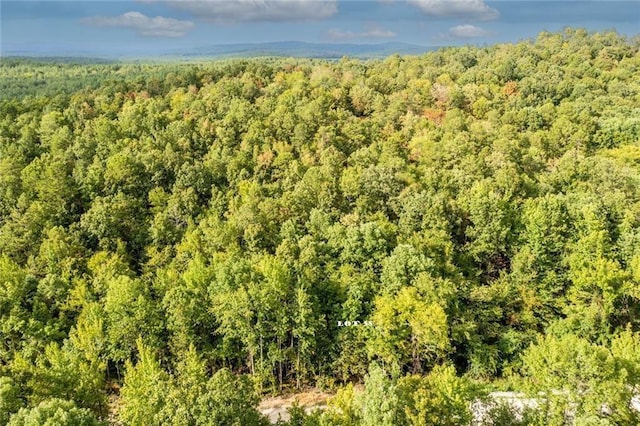 369 Frances Fir Rd, Broken Bow, OK 74728