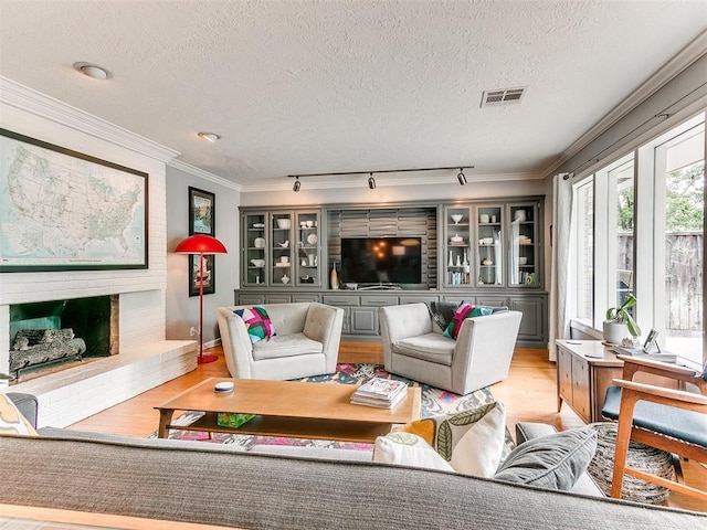 203 N Sherry Ave, Norman, OK 73069 - living room with wood finished floors, crown molding, a textured ceiling, and rail lighting