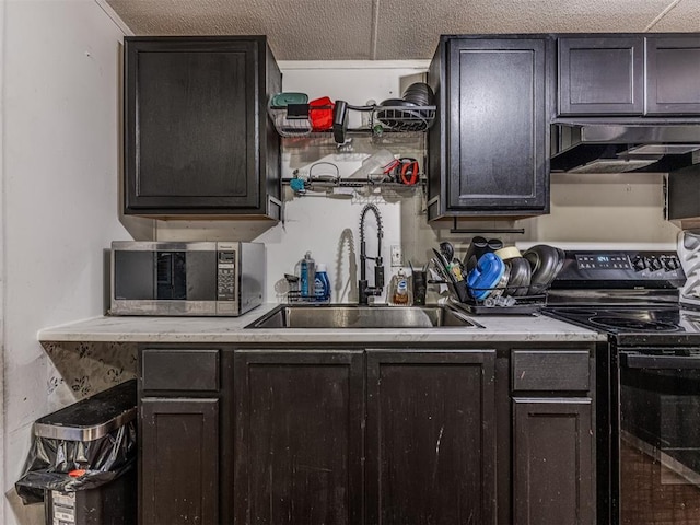 14417 Longhorn Dr, Jones, OK 73049 - kitchen with black range with electric stovetop, under cabinet range hood, a sink, stainless steel microwave, and light countertops