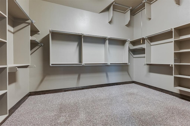15101 Colonia Bella Dr, Edmond, OK 73013 - spacious closet featuring carpet flooring