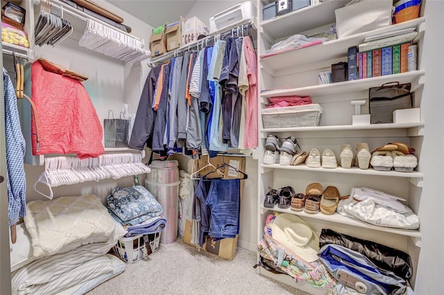 2613 Ethan Ln, Oklahoma City, OK 73160 - spacious closet with carpet
