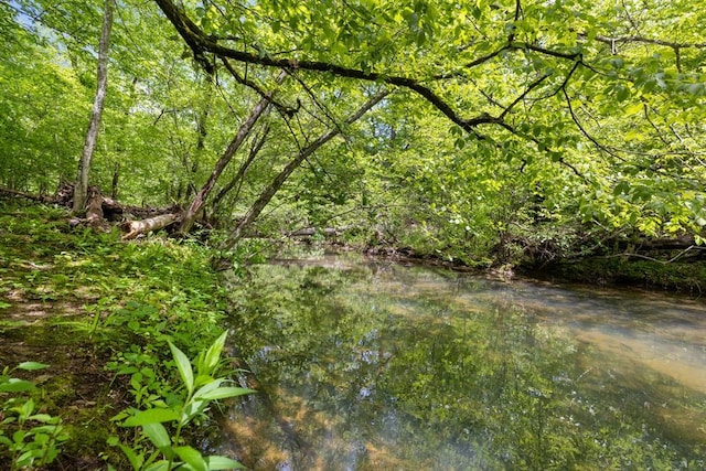 372 Timber Creek Trl, Broken Bow, OK 74728 - view of tree filled area
