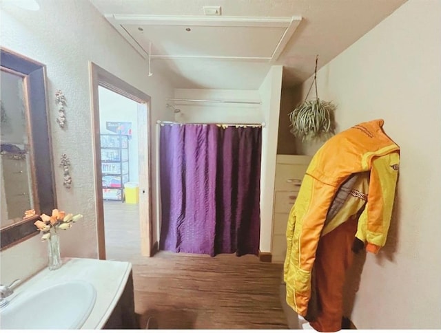 12301 US Highway 77, Lexington, OK 73051 - bathroom with wood finished floors and vanity