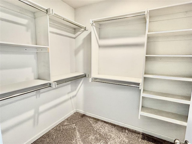 9632 Ashford Dr, Yukon, OK 73099 - spacious closet with carpet flooring