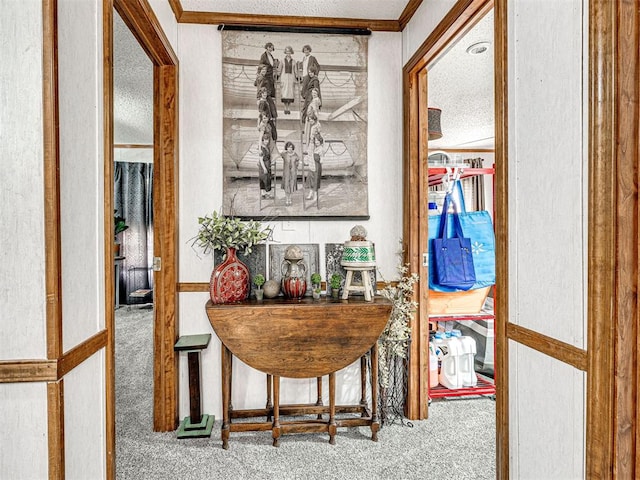 19519 N 2730th Rd, Kingfisher, OK 73750 - corridor with carpet flooring and ornamental molding