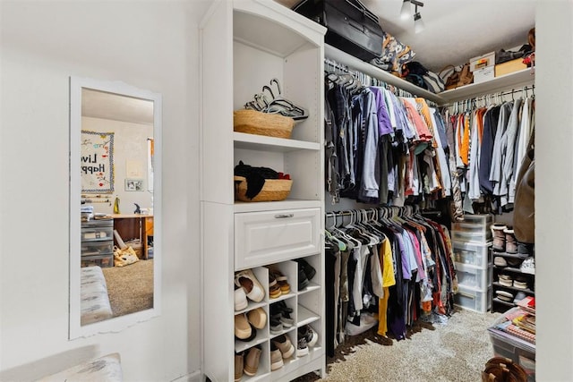 26114 State Highway 19, Cyril, OK 73029 - view of spacious closet