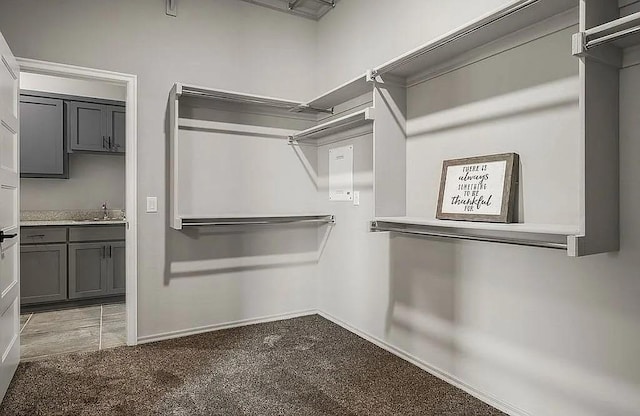 3921 Bandera Trl, Norman, OK 73071 - walk in closet with a sink and light carpet