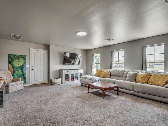 13505 Shady Pine Cir, Edmond, OK 73025 - living room featuring carpet flooring