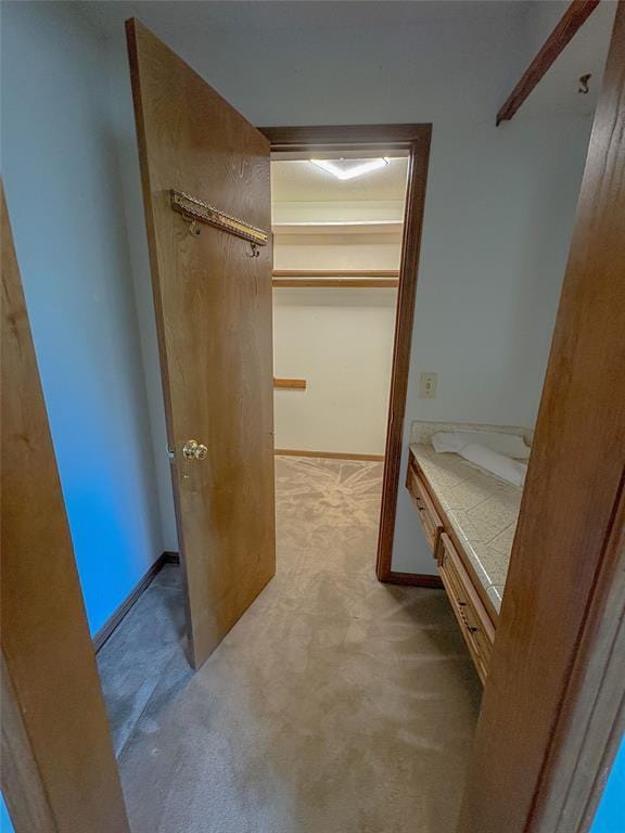 2313 SW 91st St, Oklahoma City, OK 73159 - spacious closet with light carpet