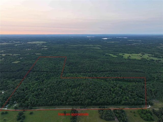 231 Crow Ln, Valliant, OK 74764 - aerial view of property's location with a heavily wooded area and property parcel outlined