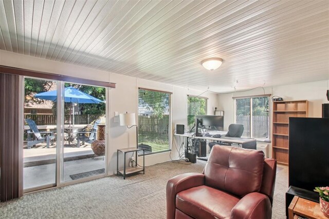 220 Telstar St, Norman, OK 73069 - photo 15