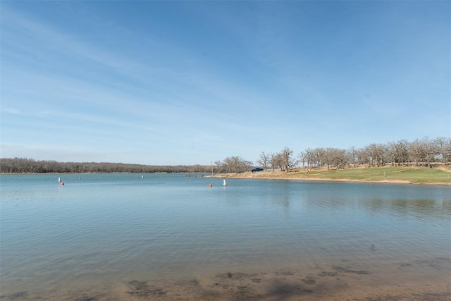 143 Robinson Ln, Ardmore, OK 73401 - water view