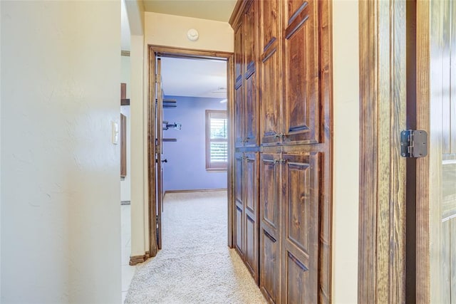 811 W Abi Rd, Washington, OK 73093 - hall featuring light colored carpet and baseboards