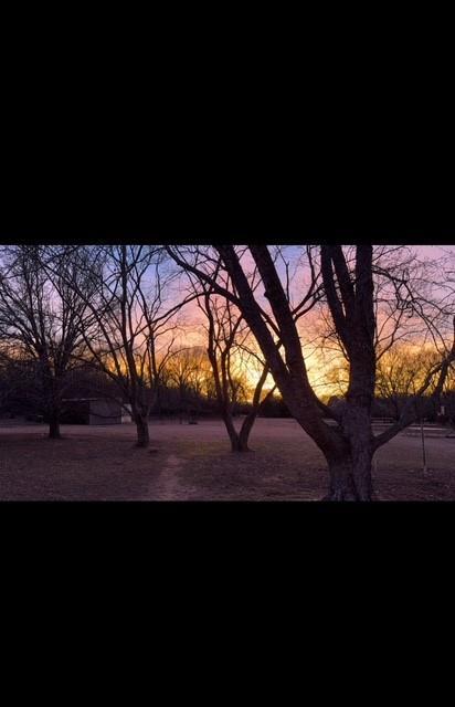 107093 N 3660th Rd, Boley, OK 74829 - photo 39