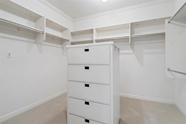 1409 Glenbrook Ter, Nichols Hills, OK 73116 - spacious closet with light carpet