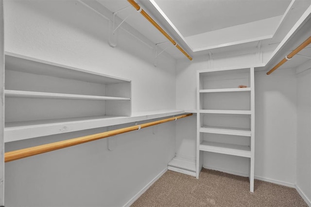 1101 Wendy Ln, Altus, OK 73521 - walk in closet with carpet flooring