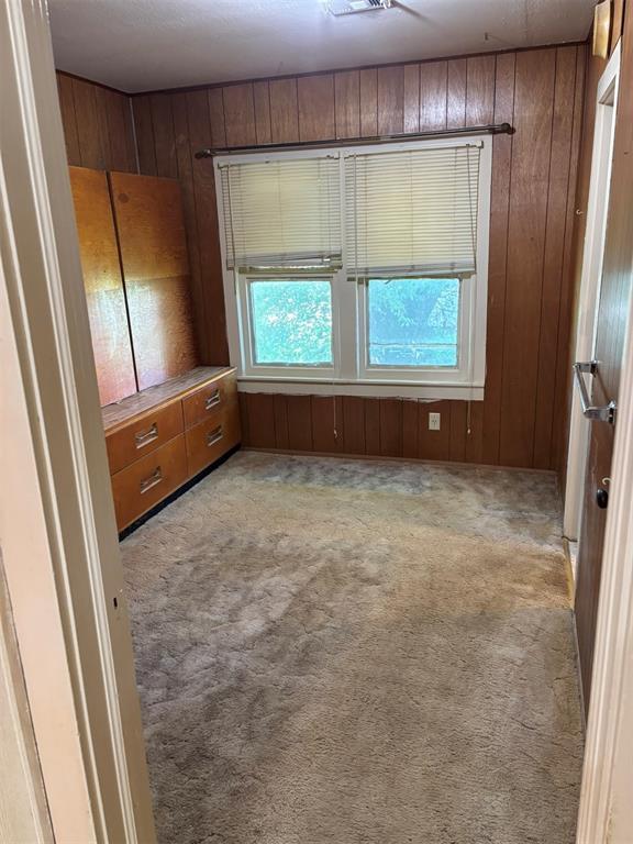 316 N Crenshaw St, Wayne, OK 73080 - spare room with wooden walls and light carpet
