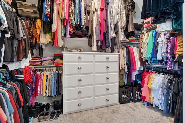 2528 E Bradley St, Shawnee, OK 74804 - walk in closet featuring carpet floors