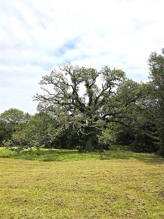 7624 E 135th Rd, Holdenville, OK 74848 - photo 8