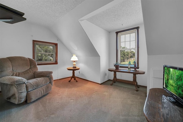 409 S Mcdonald St, Dill City, OK 73641 - sitting room featuring carpet, plenty of natural light, a textured ceiling, lofted ceiling, and baseboards