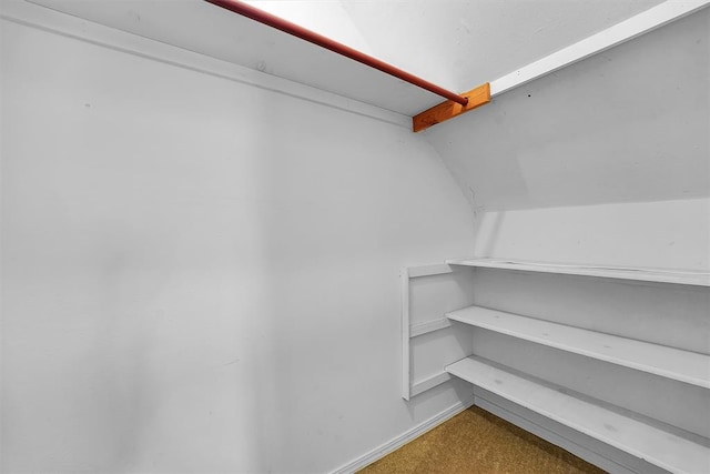 409 S Mcdonald St, Dill City, OK 73641 - walk in closet featuring vaulted ceiling