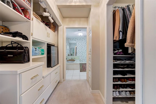 1736 Bryant Cir, Norman, OK 73026 - spacious closet featuring light carpet and a sink