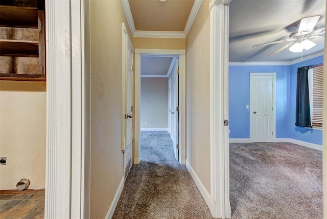 846 Two Forty Pl, Oklahoma City, OK 73139 - corridor with carpet floors and ornamental molding