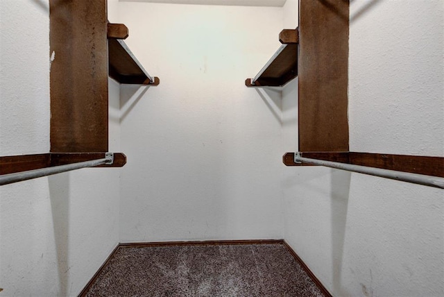 846 Two Forty Pl, Oklahoma City, OK 73139 - walk in closet featuring carpet