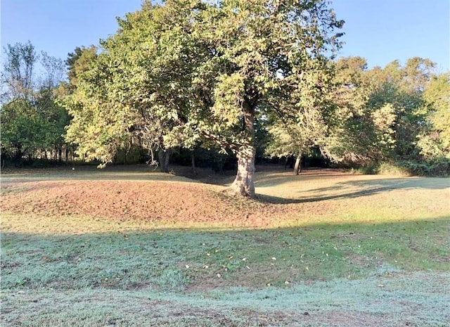 16204 Gaddy Rd, Shawnee, OK 74801 - view of green lawn