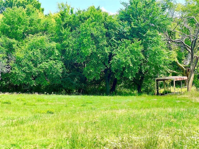 416 E Quail Rd, Chickasha, OK 73018 - view of yard