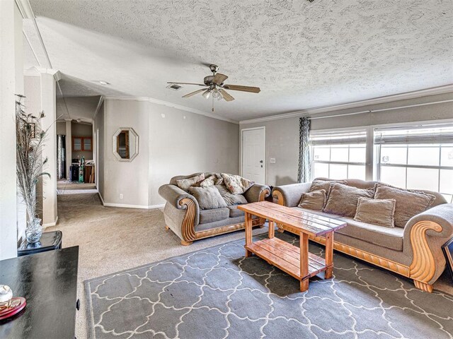 19108 Finn Ridge Rd, Purcell, OK 73080 - living area with carpet, a ceiling fan, crown molding, a textured ceiling, and baseboards