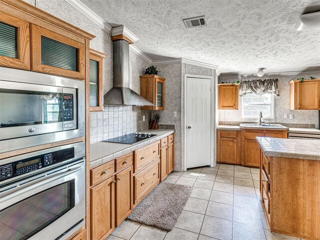 19108 Finn Ridge Rd, Purcell, OK 73080 - kitchen featuring stainless steel appliances, wall chimney exhaust hood, a sink, ornamental molding, and glass insert cabinets