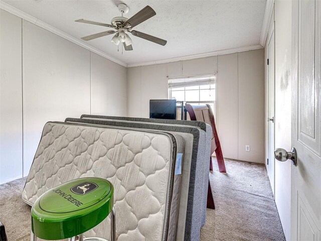 19108 Finn Ridge Rd, Purcell, OK 73080 - bedroom with carpet floors, ornamental molding, and ceiling fan