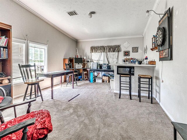 19108 Finn Ridge Rd, Purcell, OK 73080 - office space with a textured ceiling, plenty of natural light, carpet floors, crown molding, and a textured wall