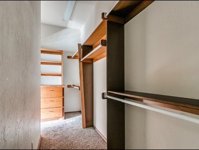 5704 Bent Creek Dr, Oklahoma City, OK 73135 - walk in closet with carpet floors