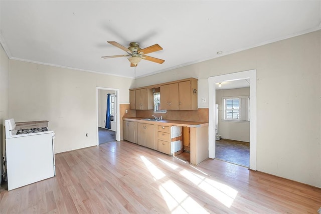 209 E 3rd St, Erick, OK 73645 - kitchen with white range with gas cooktop, a ceiling fan, light countertops, light wood-type flooring, and ornamental molding