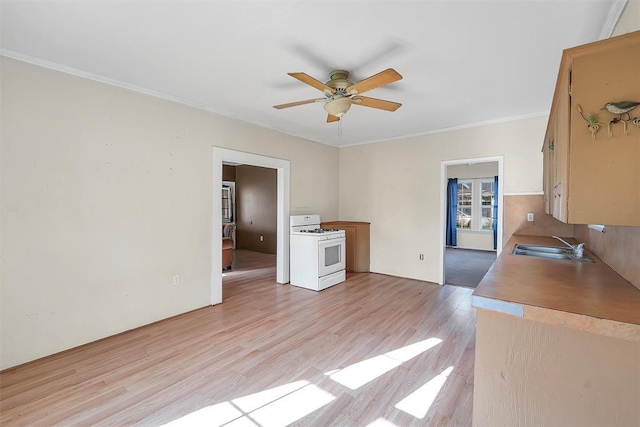 209 E 3rd St, Erick, OK 73645 - kitchen featuring white gas stove, a ceiling fan, a sink, light wood-type flooring, and crown molding