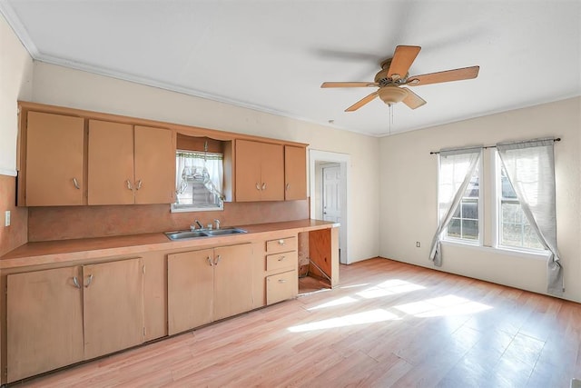 209 E 3rd St, Erick, OK 73645 - kitchen with a sink, plenty of natural light, light countertops, and ornamental molding