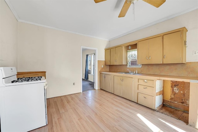 209 E 3rd St, Erick, OK 73645 - kitchen with white gas range oven, ornamental molding, a sink, light wood-type flooring, and ceiling fan