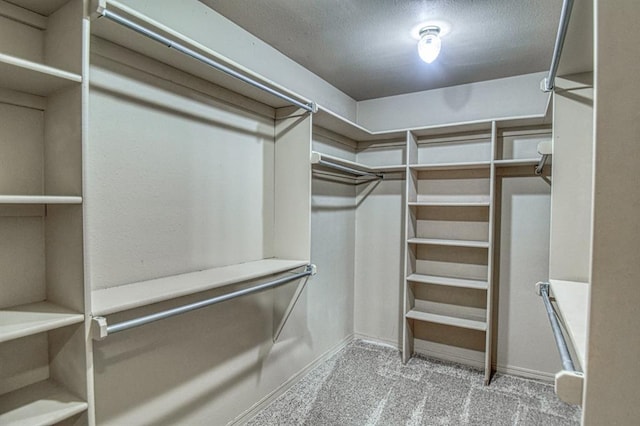 3100 Windward Ct, Norman, OK 73072 - walk in closet with carpet floors