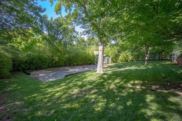 2404 NW 55th Ter, Oklahoma City, OK 73112 - view of grassy yard