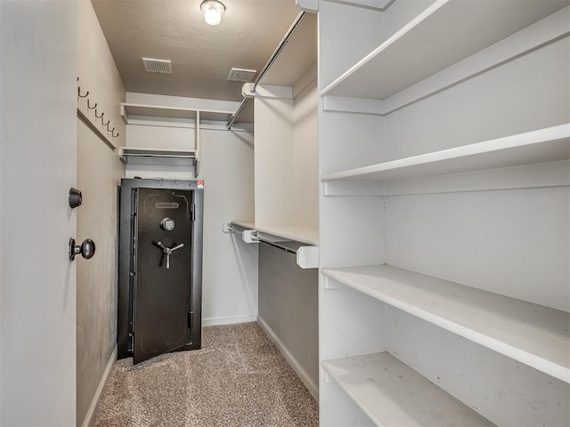 5021 SE 12th Ave, Washington, OK 73093 - walk in closet with light colored carpet