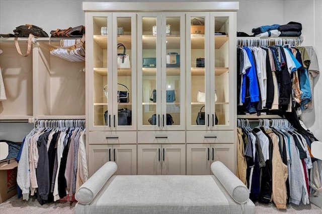 1049 Dorsi Way, Newcastle, OK 73065 - view of walk in closet