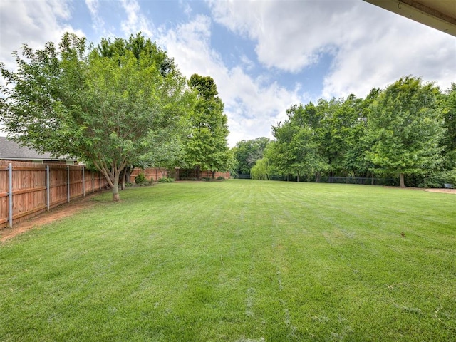 1816 Concord Pl, Norman, OK 73071 - view of yard