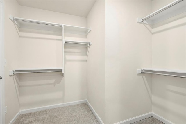 1208 Ariana St, Shawnee, OK 74804 - spacious closet with carpet floors