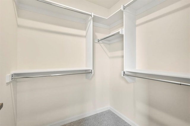 1208 Ariana St, Shawnee, OK 74804 - spacious closet featuring carpet flooring