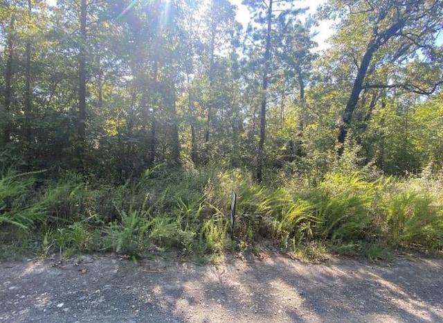 003 N Dana Rd, Broken Bow, OK 74728