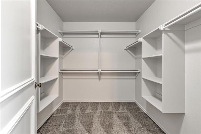 2309 NW 157th Ter, Edmond, OK 73013 - walk in closet with carpet