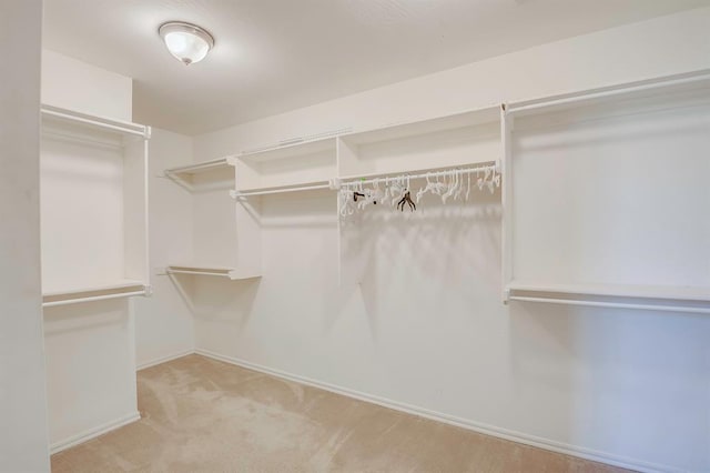 832 Elm Creek Dr, Moore, OK 73160 - walk in closet featuring light carpet